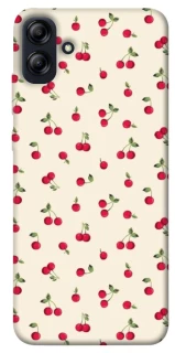 Чехол на Samsung Galaxy A04e Cherry фото 1 из 1
