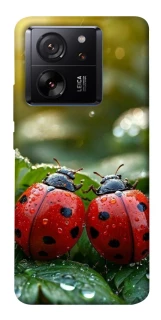 Чохол на Xiaomi 13T Flowers v23 фото 1 з 1