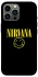 Чехол на Apple iPhone 13 Pro Max (6.7") Nirvana ver.1 фото 1 из 1