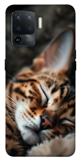 Чохол на Oppo Reno 5 Lite Cat paws фото 1 з 1