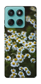 Чохол на Motorola Edge 60 Fusion Ромашки v13 фото 1 з 1