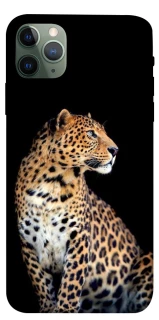 Чохол на Apple iPhone 11 Pro Max (6.5") Leopard v2 фото 1 з 1