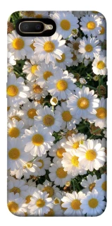 Чохол на OPPO A5 / A3S / AX5 / R15-NEO Поле ромашок фото 1 з 1