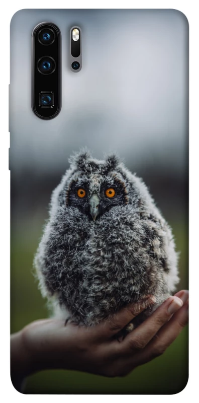 Чохол на Huawei P30 Pro Совеня фото 1 з 1