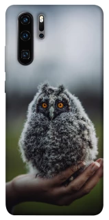 Чохол на Huawei P30 Pro Совеня фото 1 з 1