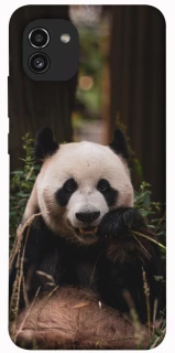 Чехол на Samsung Galaxy A03 Панда фото 1 из 1