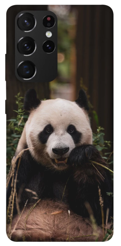 Чехол на Samsung Galaxy S21 Ultra Панда фото 1 из 1
