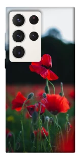 Чехол на Samsung Galaxy S23 Ultra Мак фото 1 из 1