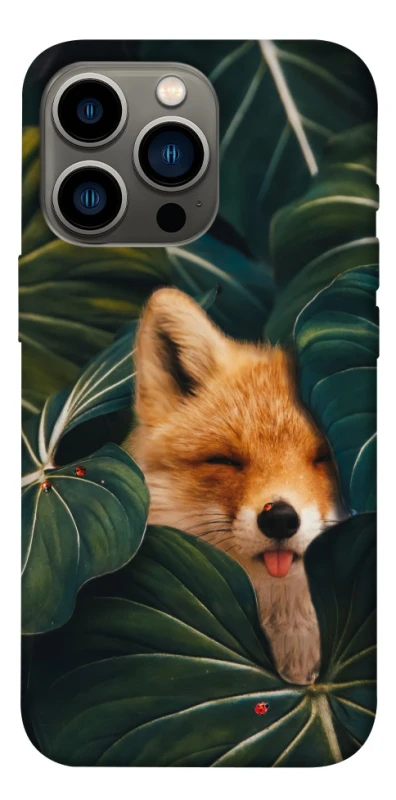 Чехол на Apple iPhone 13 Pro (6.1") Fox фото 1 из 1