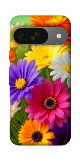 Чохол на Google Pixel 10 Flowers v32 фото 1 з 1