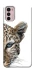 Чохол на Motorola Moto G42 Leopard Art v2 фото 1 з 1