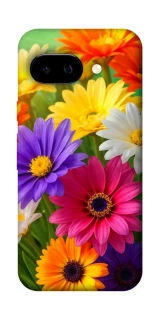Чехол на Google Pixel 9a Flowers v32 фото 1 Чехол на Google Pixel 9a Flowers v32 фото 1 из 1