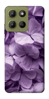 Чохол на Motorola Moto G15 4G Floral Symphony фото 1 з 1