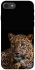 Чохол на Apple iPhone 7 / 8 (4.7") Leopard v4 фото 1 з 1
