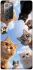 Чохол на Samsung Galaxy Note 20 Cats фото 1 з 1