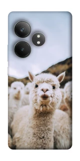 Чохол на Realme GT Neo 6 Лама фото 1 з 1