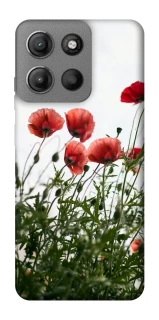 Чохол на Motorola Moto G15 Power Поле маків фото 1 з 1