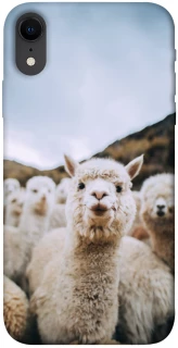 Чохол на Apple iPhone XR (6.1") Лама фото 1 з 1