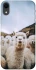 Чохол на Apple iPhone XR (6.1") Лама фото 1 з 1
