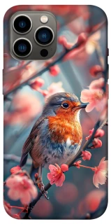 Чехол на Apple iPhone 12 Pro Max (6.7") Birdie фото 1 из 1