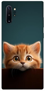 Чохол на Samsung Galaxy Note 10 Plus Чохол Кошеня фото 1 з 1