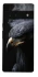 Чехол на Google Pixel 6 Pro black eagle фото 1 из 1