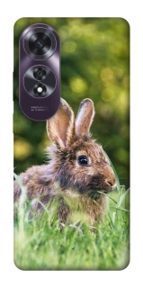 Чехол на Oppo A60 Кролики фото 1 из 1