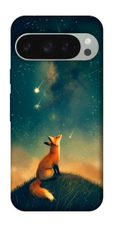 Чехол на Google Pixel 10 Pro XL Sky fox фото 1 из 1