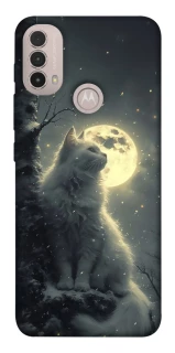 Чехол на Motorola Moto E40 Кот под луной фото 1 из 1