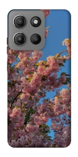 Чехол на Motorola Moto G15 4G Flowers v4 фото 1 из 1