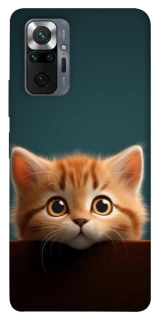 Чохол на Xiaomi Redmi Note 10 Pro Чохол Кошеня фото 1 з 1