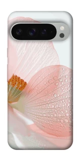 Чохол на Google Pixel 9 Pro XL Flowers zon фото 1 Чохол на Google Pixel 9 Pro XL Flowers zon фото 1 з 1