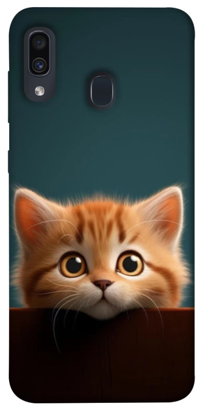 Чохол на Samsung Galaxy A20 / A30 Чохол Кошеня фото 1 з 1