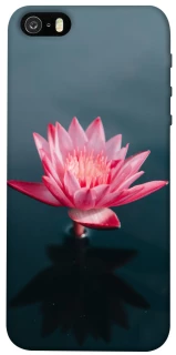 Чехол на Apple iPhone 5/5S/SE Лотос фото 1 из 1