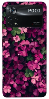 Чохол на Xiaomi Poco X4 Pro 5G Flowers v7 фото 1 з 1