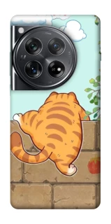Чохол на OnePlus 12 Cat the meow фото 1 з 1