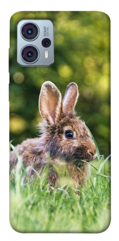 Чехол на Motorola Moto G23 Кролики фото 1 из 1