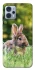 Чехол на Motorola Moto G23 Кролики фото 1 из 1