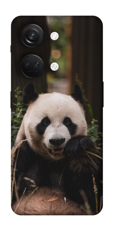 Чехол на OnePlus Nord 3 Панда фото 1 из 1