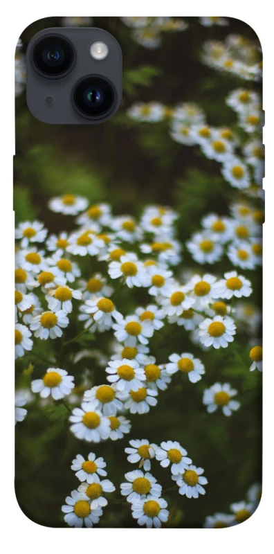 Чехол на Apple iPhone 14 Plus (6.7") Ромашки v13 фото 1 из 1