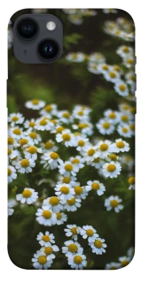 Чехол на Apple iPhone 14 Plus (6.7") Ромашки v13 фото 1 из 1