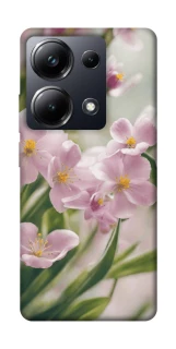 Чохол на Xiaomi Poco M6 Pro 4G Spring фото 1 з 1