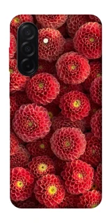 Чехол на Samsung Galaxy A26 5G Midnight1 фото 1 из 1