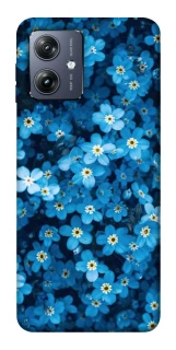 Чохол на Motorola Moto G54 Flowers v6 фото 1 Чохол на Motorola Moto G54 Flowers v6 фото 1 з 1