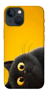 Чохол на Apple iPhone 13 mini (5.4") This is Cat фото 1 з 1