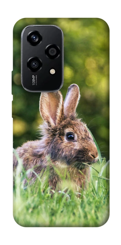 Чехол на Honor 200 Lite Кролики фото 1 из 1