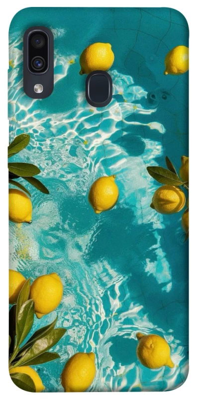Чехол на Samsung Galaxy A20 / A30 Lemon фото 1 из 1
