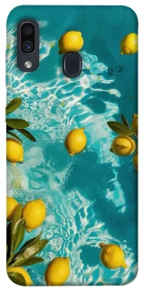 Чехол на Samsung Galaxy A20 / A30 Lemon фото 1 из 1