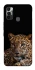 Чехол на TECNO Spark 7 Leopard v4 фото 1 из 1