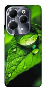 Чехол на Infinix Hot 40 Flowers v16 фото 1 из 1